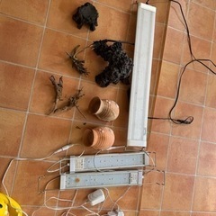 熱帯魚　飼育用品　