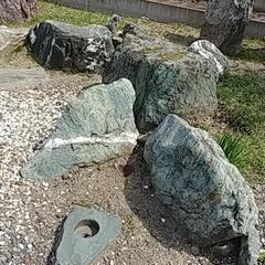 庭石④　緑色