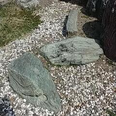 庭石④　緑色の画像