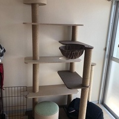 生活雑貨 調理器具 キッチンツール