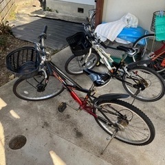 受け渡し先決まっております。