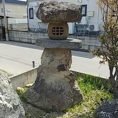 庭石①