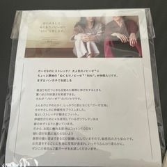 エコバッグ　ハンカチセットの画像