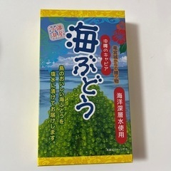 【未開封】海ぶどう　食品