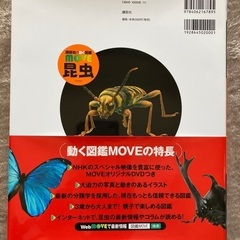昆虫図鑑と絵本の画像