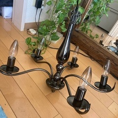 照明　フランフラン