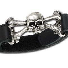 ALCHEMY GOTHIC: Skull n' Bones L...