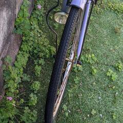自転車 クロスバイクの画像