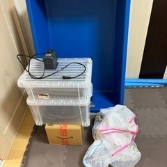 プラ池•メダカ、金魚、鯉飼育セット