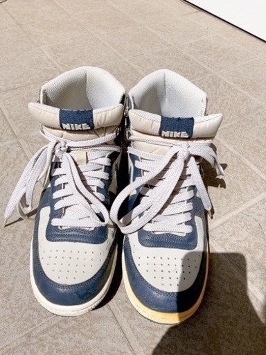 靴 スニーカー　NIKE ターミネーター