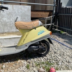 バイク  ヤマハ　ミント　の画像