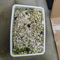 おもちゃ パズル