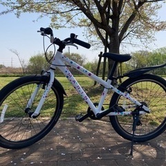 自転車 マウンテンバイク
