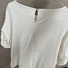 服/ファッション カットソーの画像