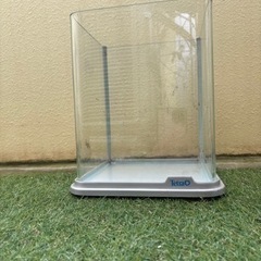 縦型水槽の画像