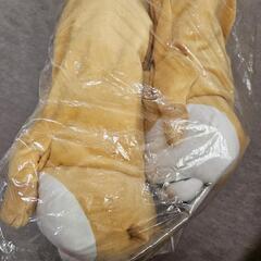 可愛い嘘のカワウソ ティッシュケース カバー ボックス ぬいぐるみの画像