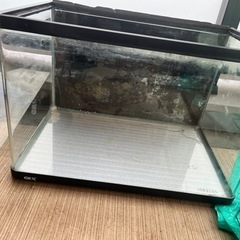 水槽セット