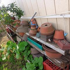 生活雑貨 洗濯用品 物干し竿、ロープの画像