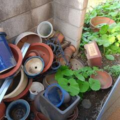 生活雑貨 洗濯用品 物干し竿、ロープの画像