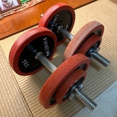 (価格変更)ダンベルとベンチプレス