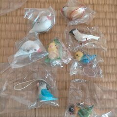 鳥のガチャ