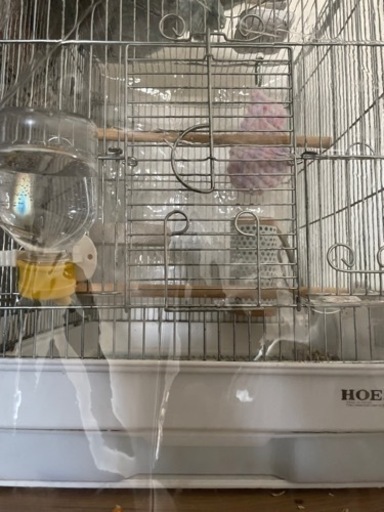 モモンガ飼育セット