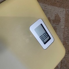 【無料】ヘルスメーターの画像