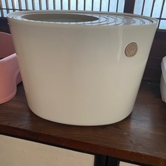 猫トイレの画像