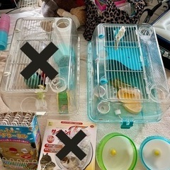 ハムスター　飼育セット