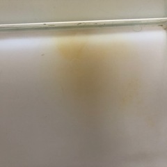 取引中・60cm水槽の画像