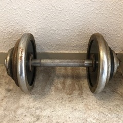 ダンベル　　30キロ　筋トレ