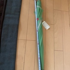 小物 ウッドペッカー 長傘の画像