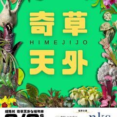 植物の祭典「姫路城　奇草天外な植物市」を初開催！！
