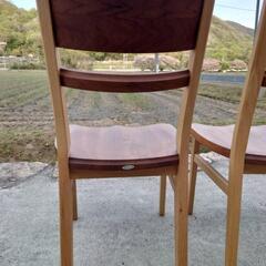 イバタインテリア ダイニングチェア 2脚セット