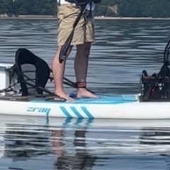 インフレーターサップの画像