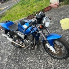 お話し中。グースGOOSE350 予備E/Gつき