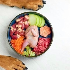 犬猫に生肉を与えている方からのメッセージ欲しいです。