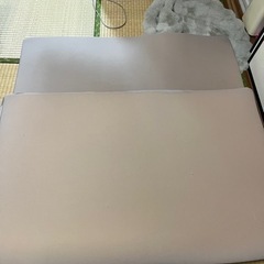 今日中か早めの取引希望トゥルースリーパー家具 寝具 マットレス