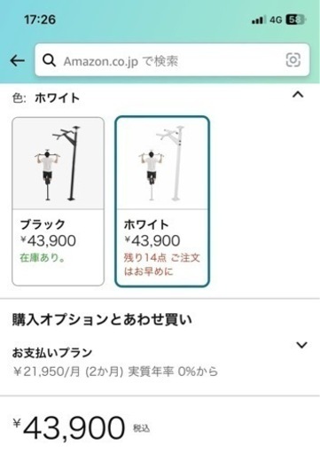 KENSUI 懸垂バー テディワークス スポーツ フィットネス、トレーニング