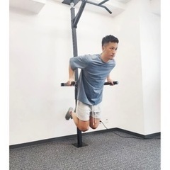 KENSUI 懸垂バー テディワークス スポーツ フィットネス、トレーニングの画像