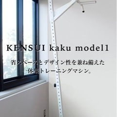 KENSUI 懸垂バー テディワークス スポーツ フィットネス、...