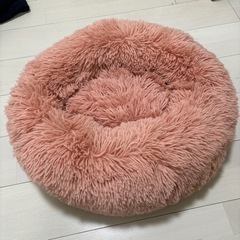 クッション