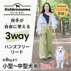 ⭐️【お譲りください】ゴールデンママのハンズフリーリード　タイプ...