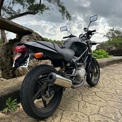 VTR250   の画像