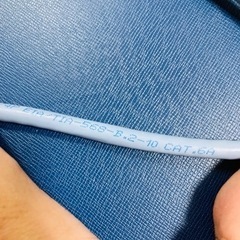 ELECOM LANケーブル2m×2本（カテゴリー6A）の画像