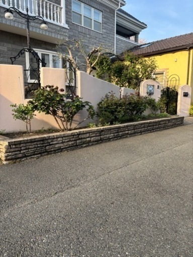 バラの消毒やります！