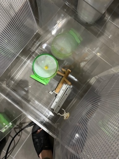 フクロモモンガ　ケース　ゲージ　爬虫類　小動物　　　