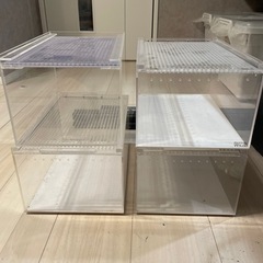 レプタイルボックスの中古が安い！激安で譲ります・無料で