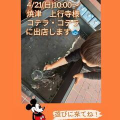 4/21(日)10:00〜14:00焼津市上行寺様　コチラ・コチ...