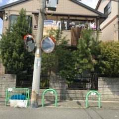 庭木の剪定と伐採できる方さがしてます